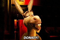 Donkey Donkey