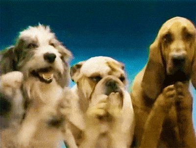 Dogs clapping Dogs clapping