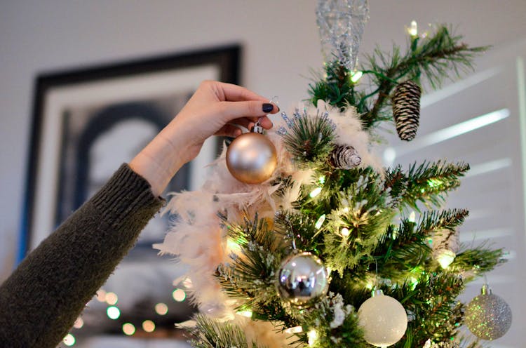 christmas tree christmas tree