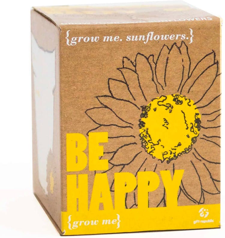 Sunflower Growing Kit Sunflower Growing Kit