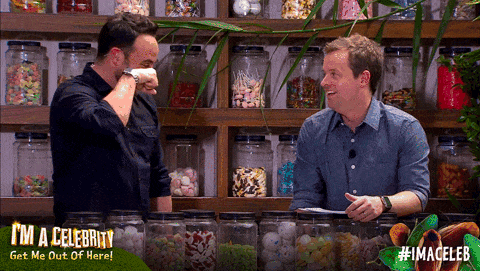 I'm a celebrity, Aunt and Dec I'm a celebrity, Aunt and Dec