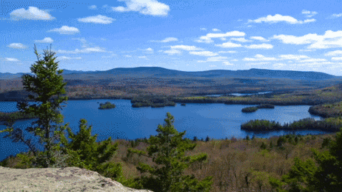 Ecosystem Restoration - clean environment Ecosystem Restoration - clean environment